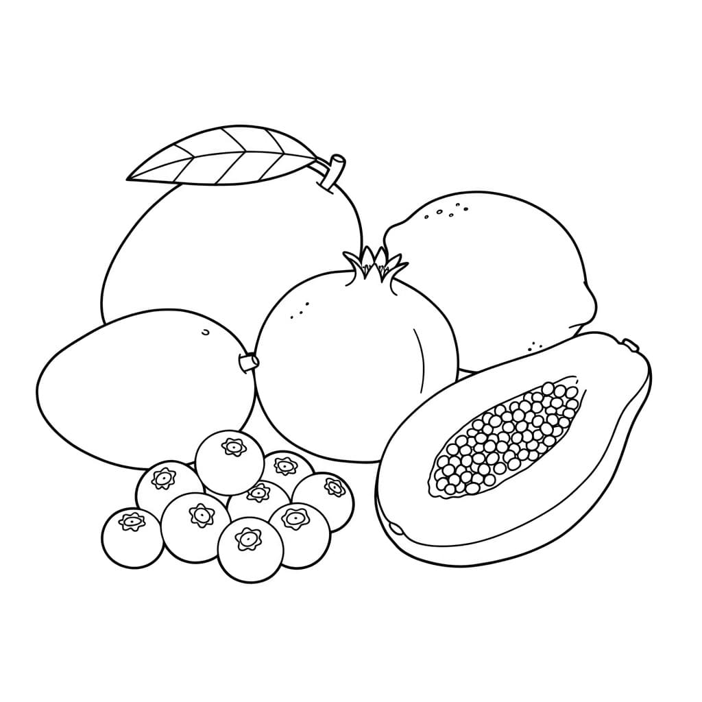Desenho em preto e branco de diversas frutas tropicais, incluindo manga, romã, mamão, amoras e outra fruta não identificada.