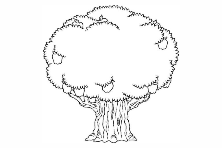 Vamos Pintar: Desenhos do Dia da Árvore para Colorir