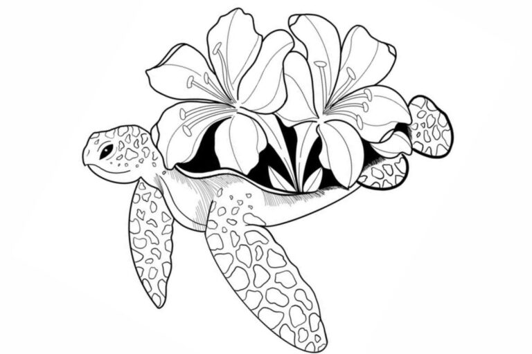 Como se Divertir  com Desenhos de Tartaruga Para Colorir