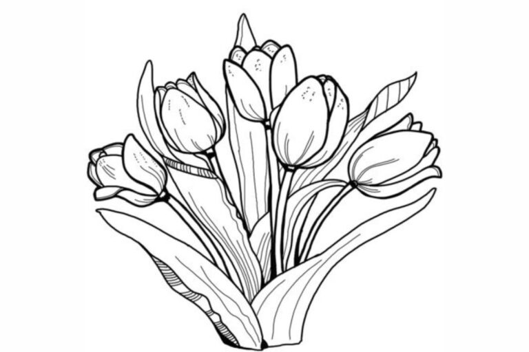 Encantadores Desenhos de Tulipas Para Colorir