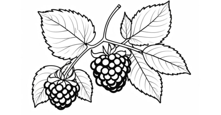 Aventura Colorida: Desenho de Amora para Colorir