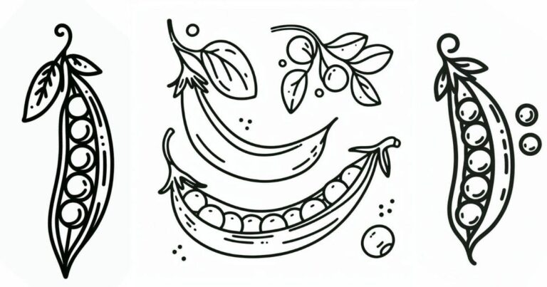 Da Vagem Ao Papel: Desenho De Ervilha Para Colorir