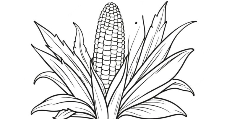 Que Tal um Sabugo Colorido? Desenho de Espiga de Milho para Colorir