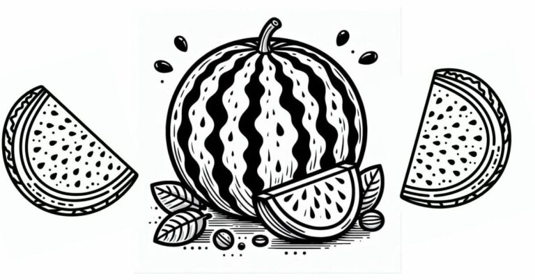 Verão no Papel: Desenho de Melancia para Colorir e Decorar
