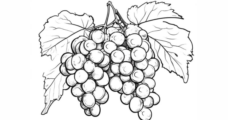 Além das Cores: Explorando o Desenho de Uva para Colorir