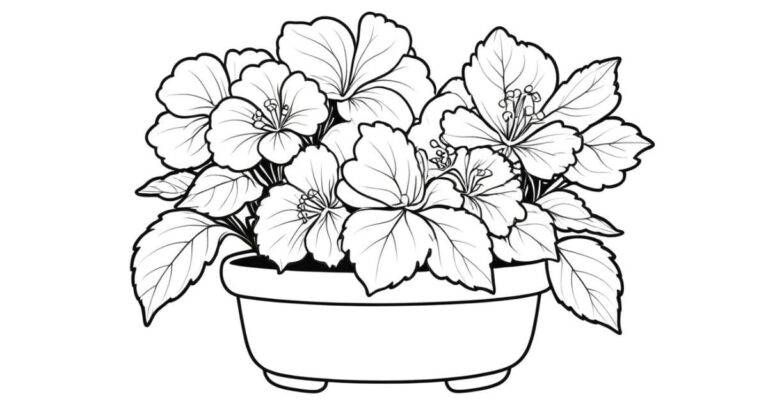 Um Toque de Alegria: Desenho de Begônia para Colorir