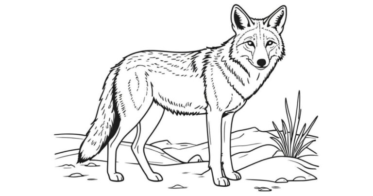 Astúcia em Cores: Desenho de Coiote para Imprimir e Colorir