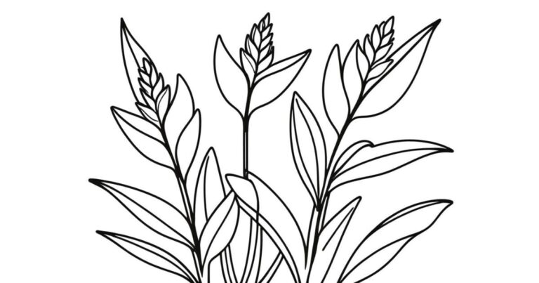 Exuberância Tropical: Desenho de Helicônia para Colorir