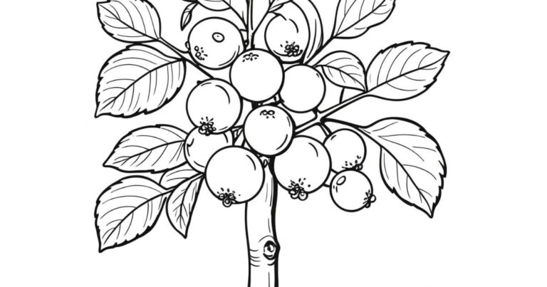 Delícias do Quintal: Desenho de Jabuticaba para Colorir