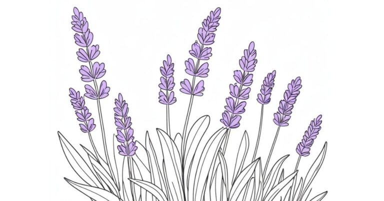 Calmaria em Tons de Lilás: Desenho de Lavanda para Colorir