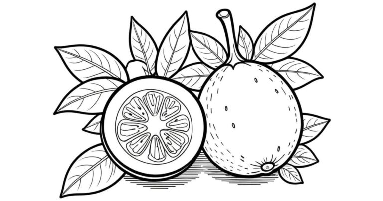 Diversão Tropical: Desenho de Maracujá para Colorir