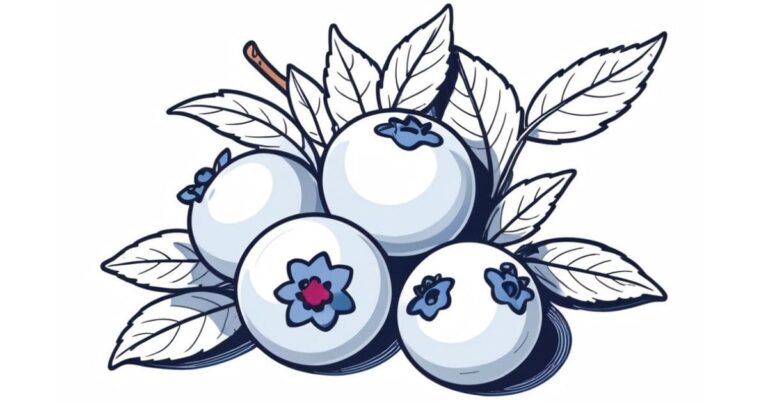 Um Toque de Azul: Desenho de Mirtilo para Colorir