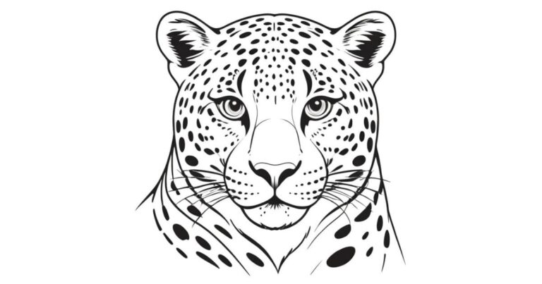 Cores da Natureza: Desenho de Onça para Imprimir e Colorir