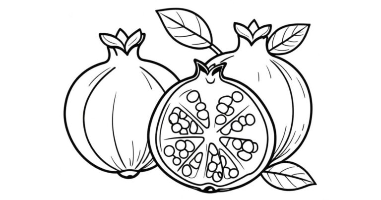 Magia da Natureza: Desenho de Romã para Colorir