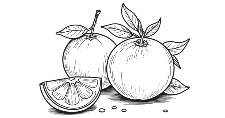 Do Galho para o Papel: Desenho de Tangerina para Colorir