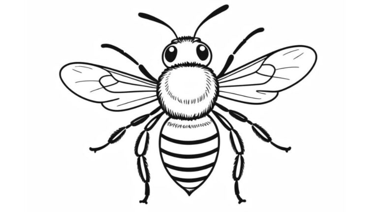 Diversão Zumbindo: Desenho de Abelha para Colorir