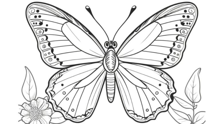 Asas da Imaginação: Desenho de Borboleta para Colorir