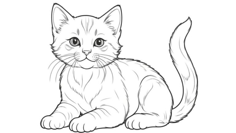 Desenho de Gatinho para Colorir: Momentos de Criatividade