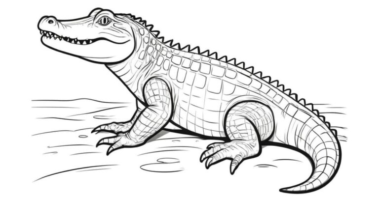 Desenho de Jacaré para Colorir: Para Pintar e Brincar