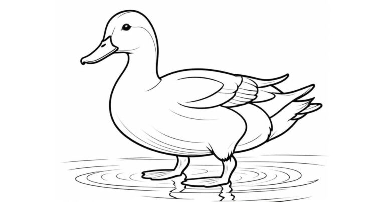 Desenho de Pato para Colorir Que Fascina Todos