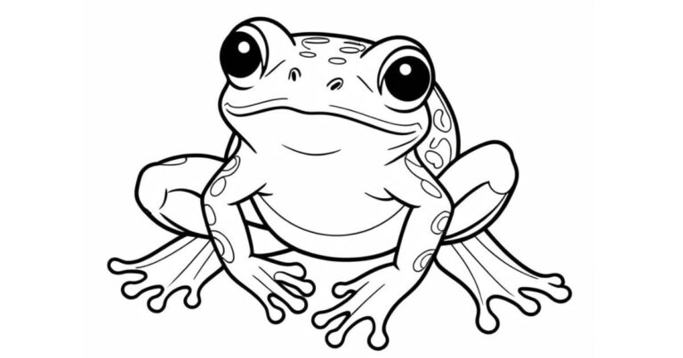 Desenho de Sapo para Colorir: Diversão Pula Pula!