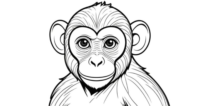 Desenho de Macaco para Colorir: Uma Selva de Cores