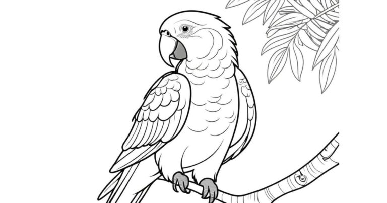 Explosão de Cores e Alegria: Desenho de Papagaio para Colorir