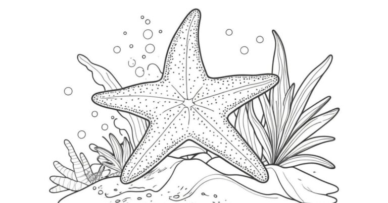 Mundo Marinho com Desenhos da Estrela do Mar para Pintar