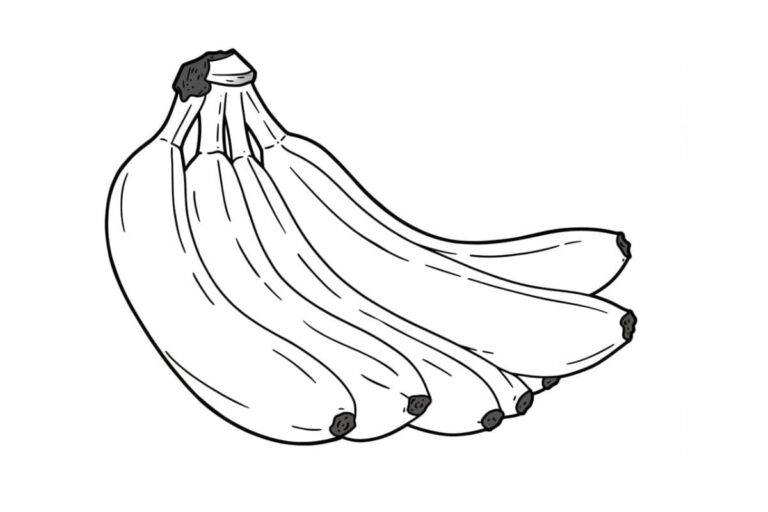 Desenho de um cacho de bananas pronto para colorir, com contornos pretos e interior em branco.