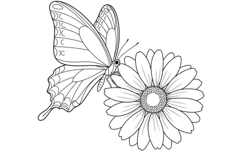 Desenho de uma borboleta pousada em uma flor margarida, pronto para colorir.