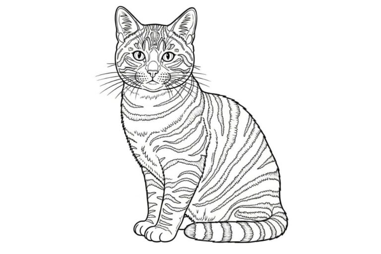 Desenho de um gato realista com pelagem listrada, pronto para colorir.
