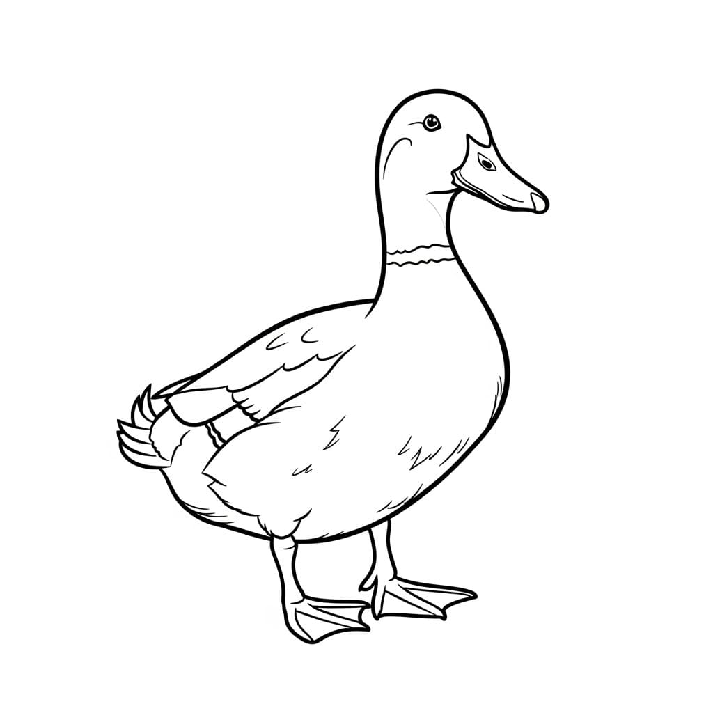 Desenho de um patinho em preto e branco, pronto para colorir.