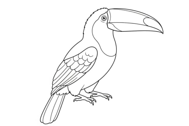 Desenho de um tucano, ave tropical exótica, pronto para colorir.