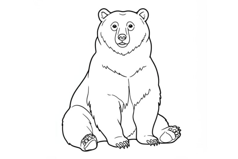 Desenho de um urso sentado, pronto para colorir.