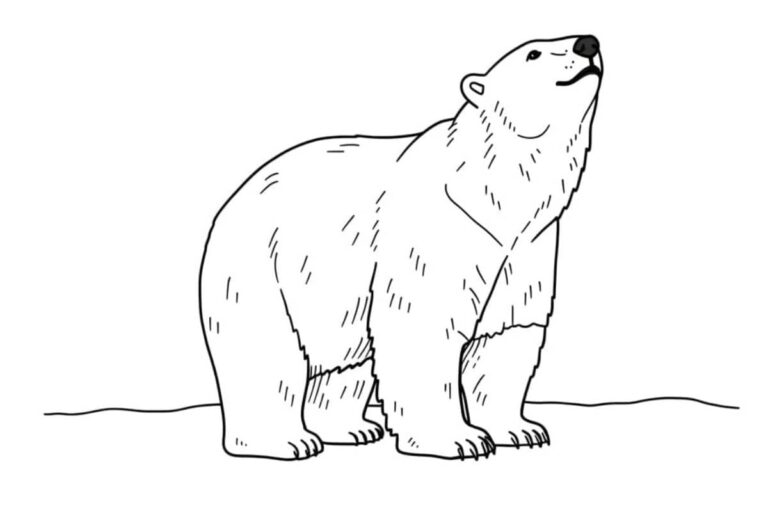 Desenho de uma ursa polar de pé, com a cabeça inclinada para cima.