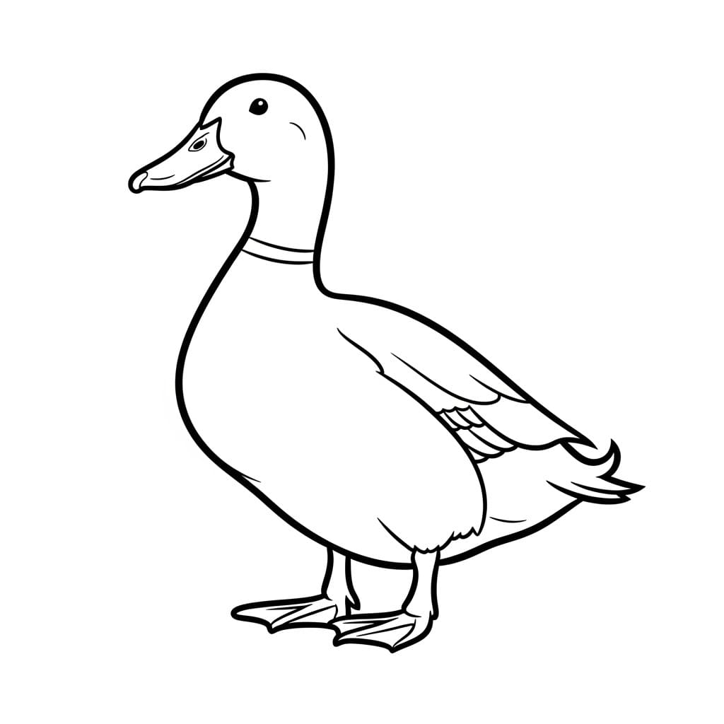 Desenho de um pato em contorno preto sobre fundo branco, ideal para atividades de colorir.