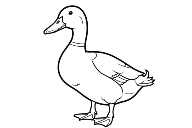 Desenho de um patinho em pé, pronto para colorir.
