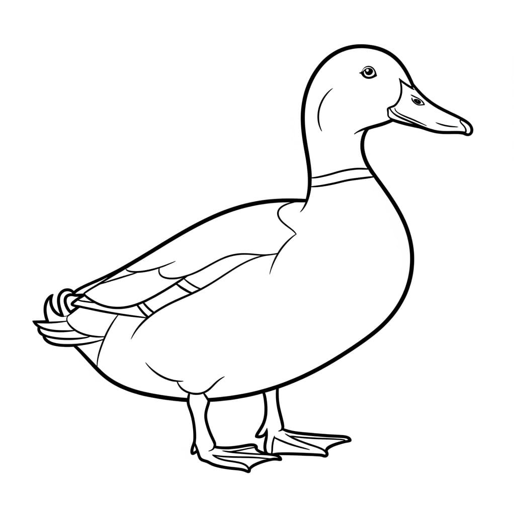 Desenho de um patinho de perfil, pronto para colorir.